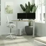 Adjustable standing desk in a bright office, an example of a California reasonable accommodation at work